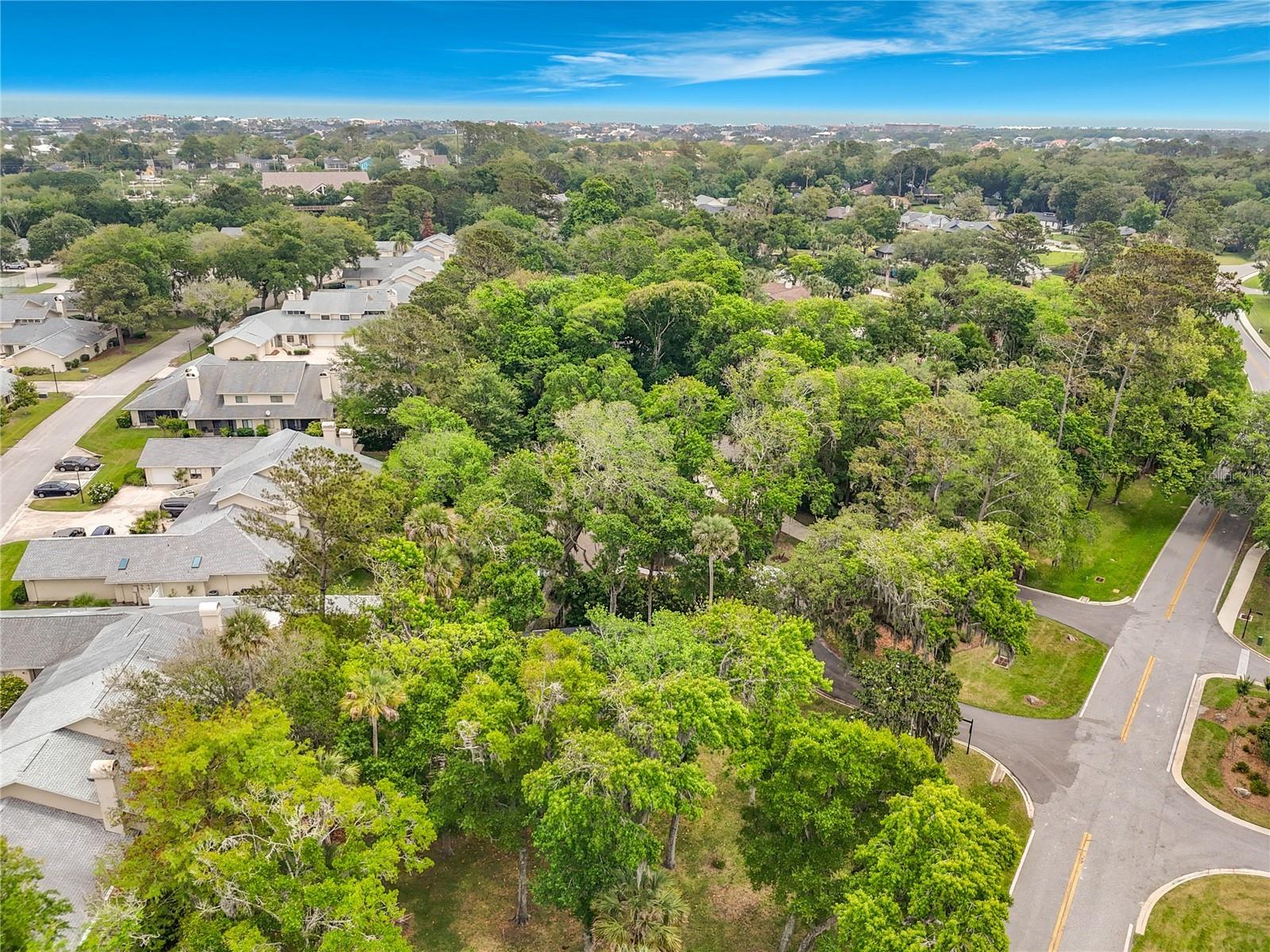 103 Neptune Court Ponte Vedra Beach FL 32082 O6405556 image58