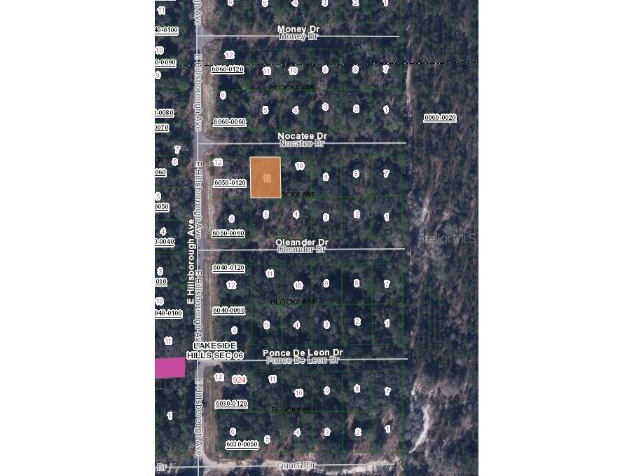 103 Nocatee Drive Florahome FL 32140 OM643659 image2