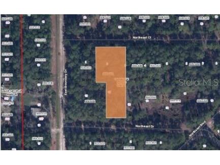 103 Northeast Court Georgetown FL 32139 O6231636 image3