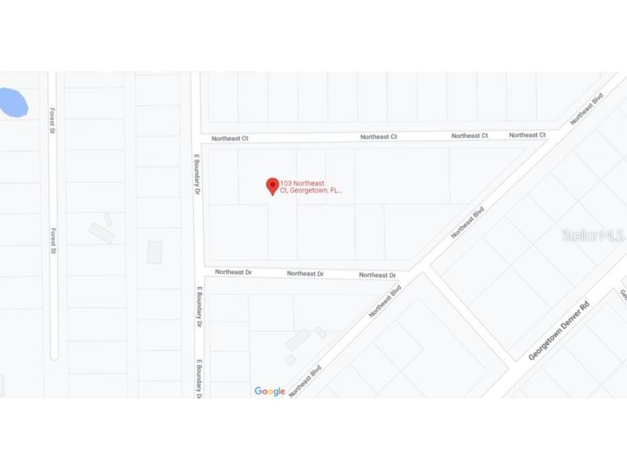 103 Northeast Court Georgetown FL 32139 O6231636 image4