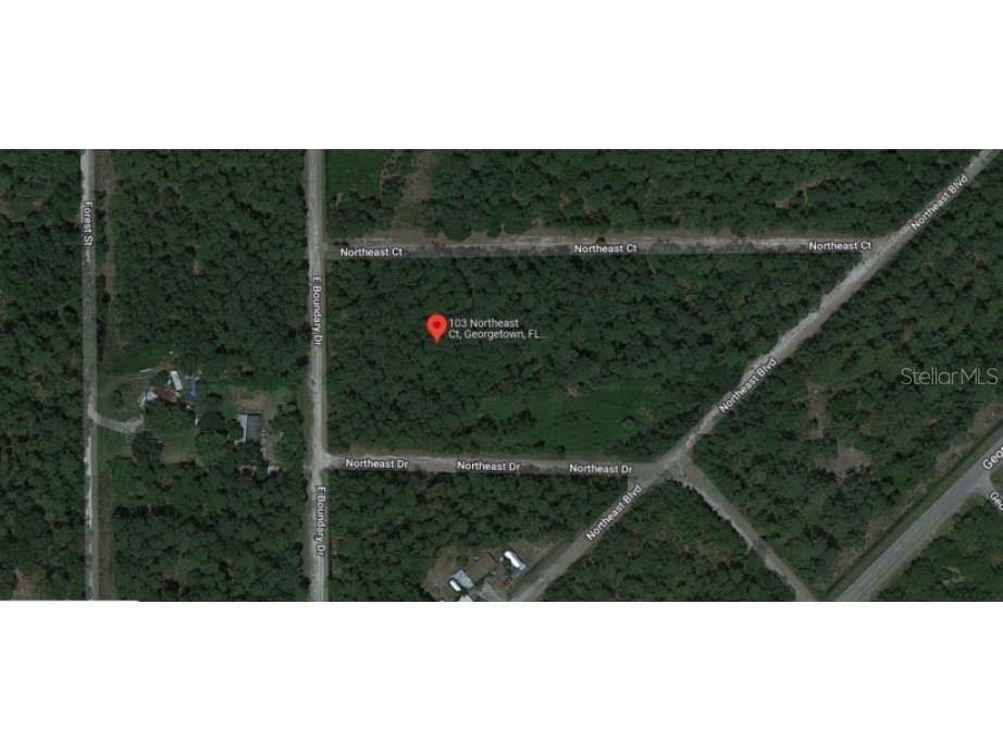 103 Northeast Court Georgetown FL 32139 O6231636 image5