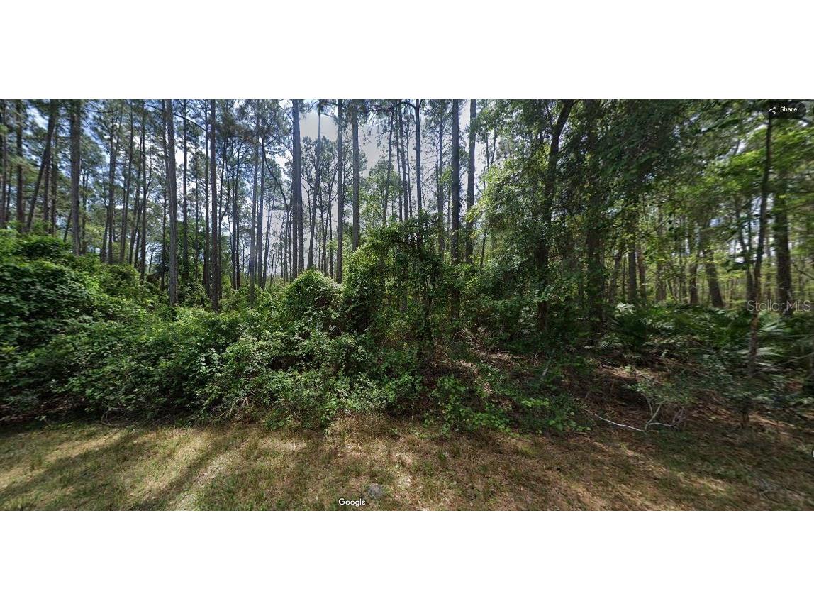 103 Northeast Court Georgetown FL 32139 O6231636 image6