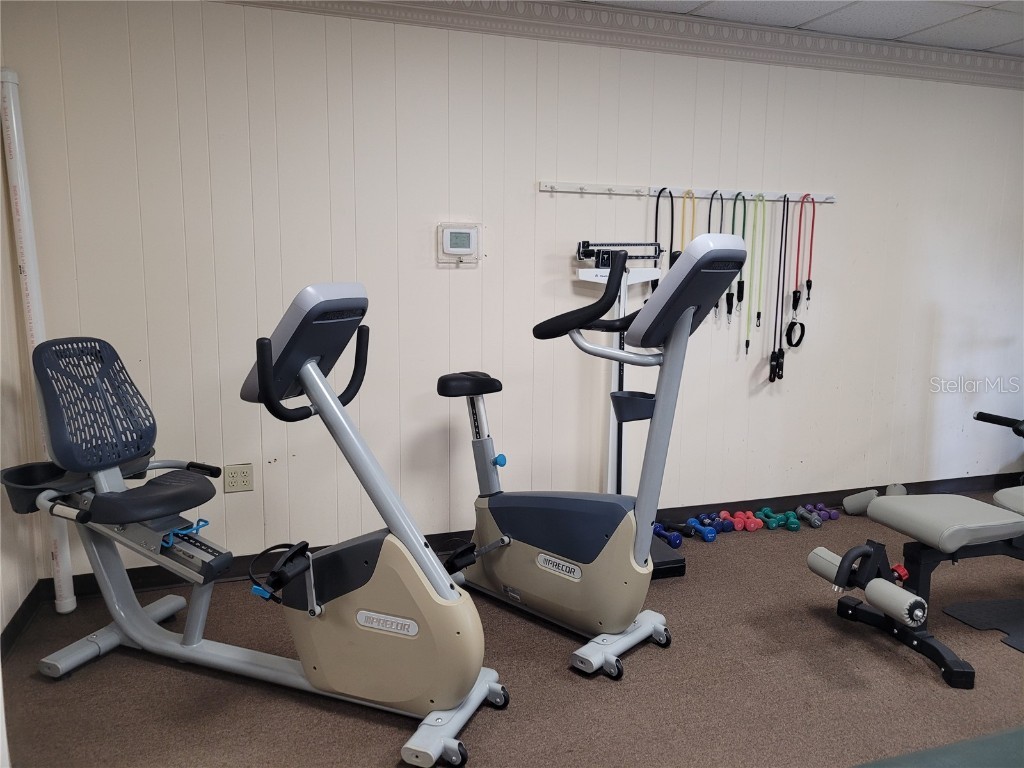 103 Oakwood Boulevard Sarasota FL 34237 A4631979 image43