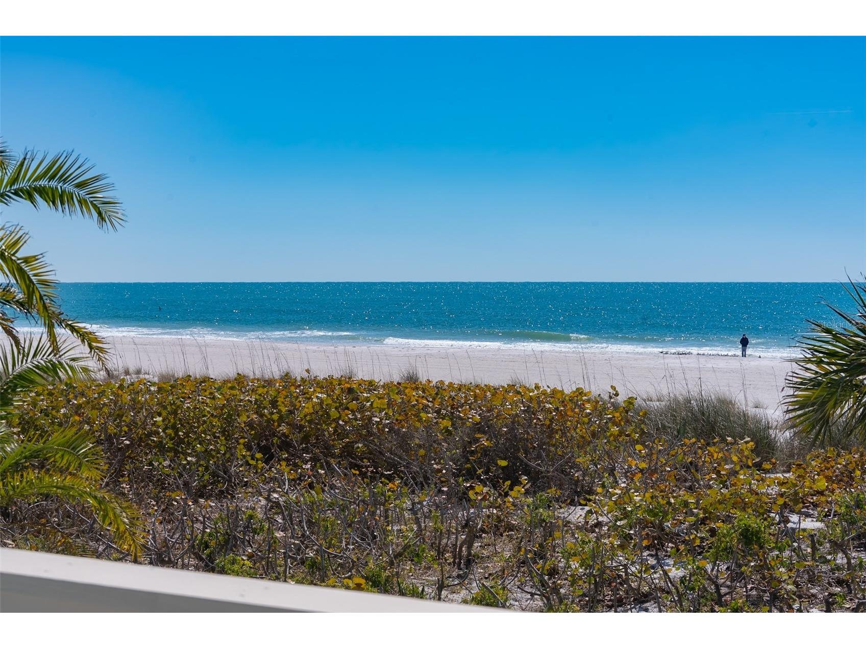 103 Palm Avenue Anna Maria FL 34216 - GULF OF AMERICA A4683902 image30