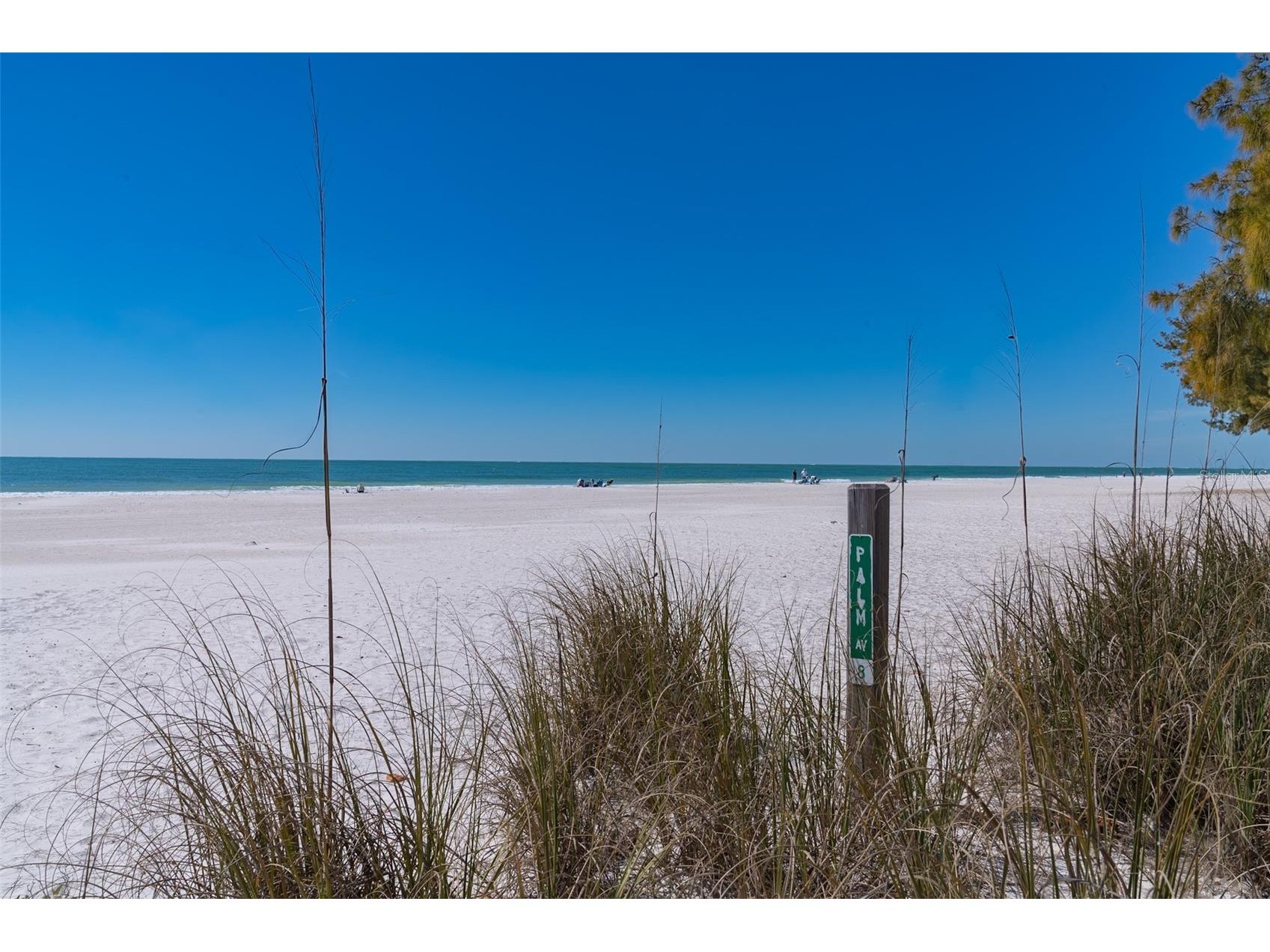 103 Palm Avenue Anna Maria FL 34216 - GULF OF AMERICA A4683902 image31