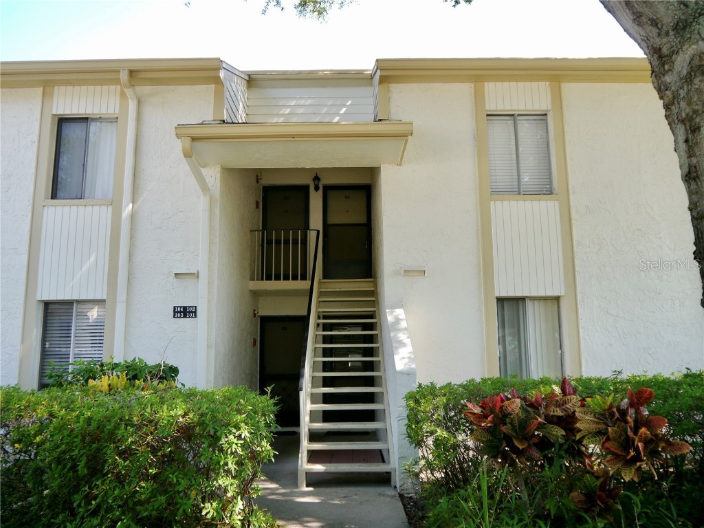 103 Palmetto Court #103 Oldsmar FL 34677 U8203139 image1