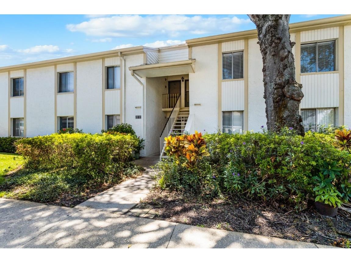 103 Palmetto Court #103 Oldsmar FL 34677 U8210796 image1