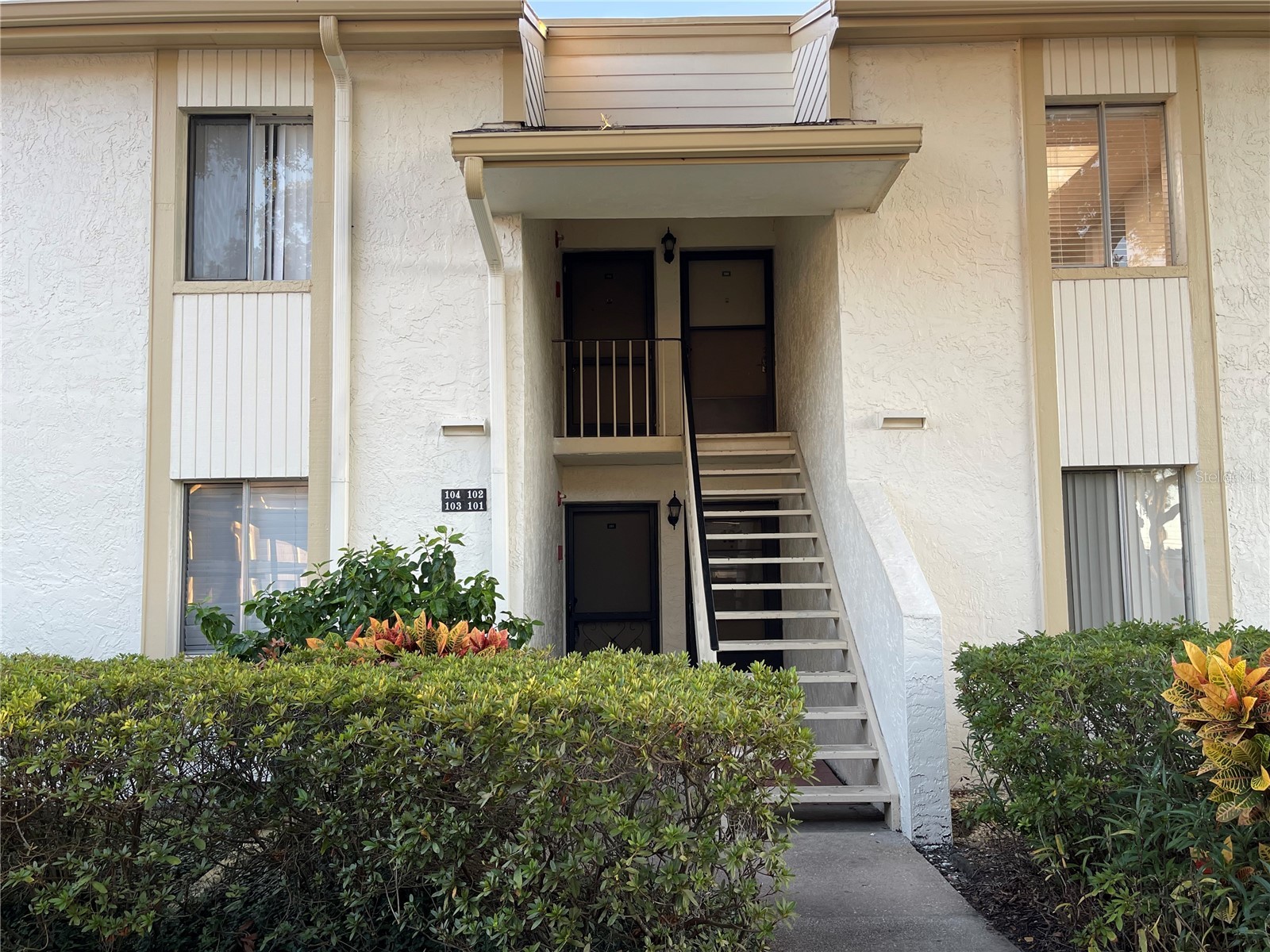 103 Palmetto Court #103 Oldsmar FL 34677 W7886064 image1