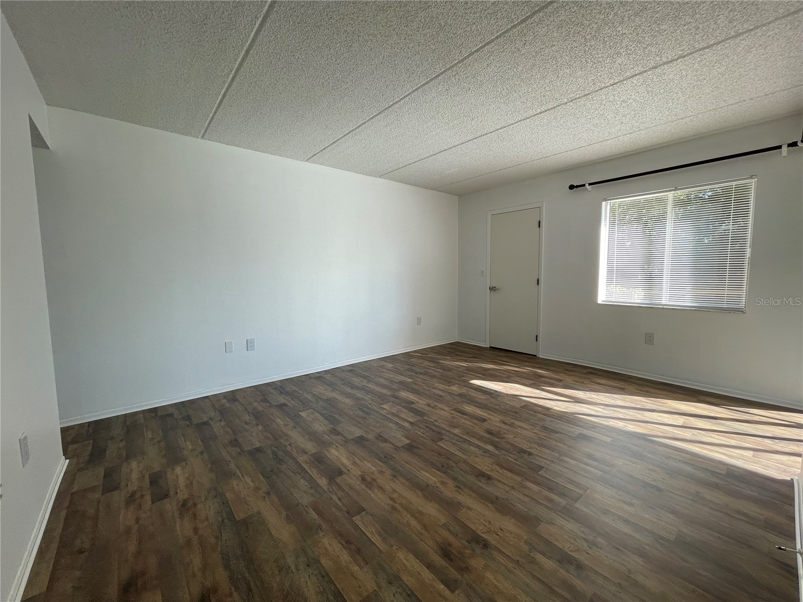 103 Palmetto Court #103 Oldsmar FL 34677 W7886064 image19