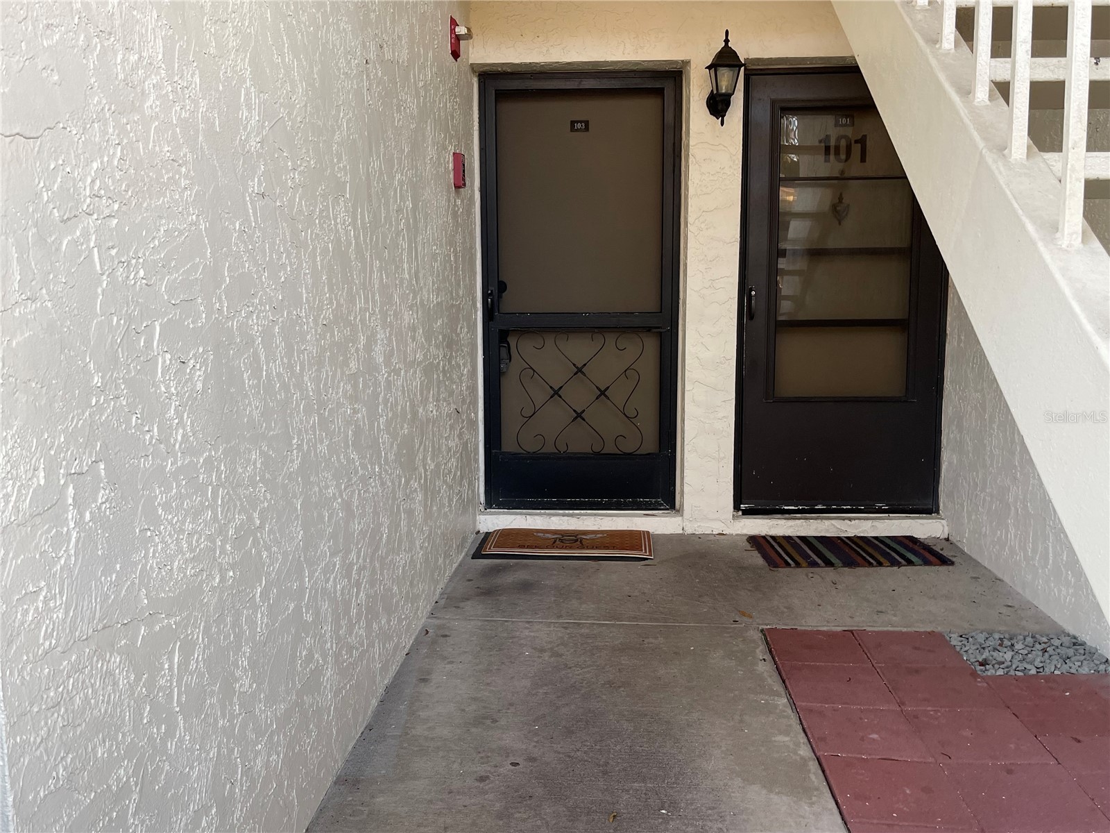 103 Palmetto Court #103 Oldsmar FL 34677 W7886064 image2