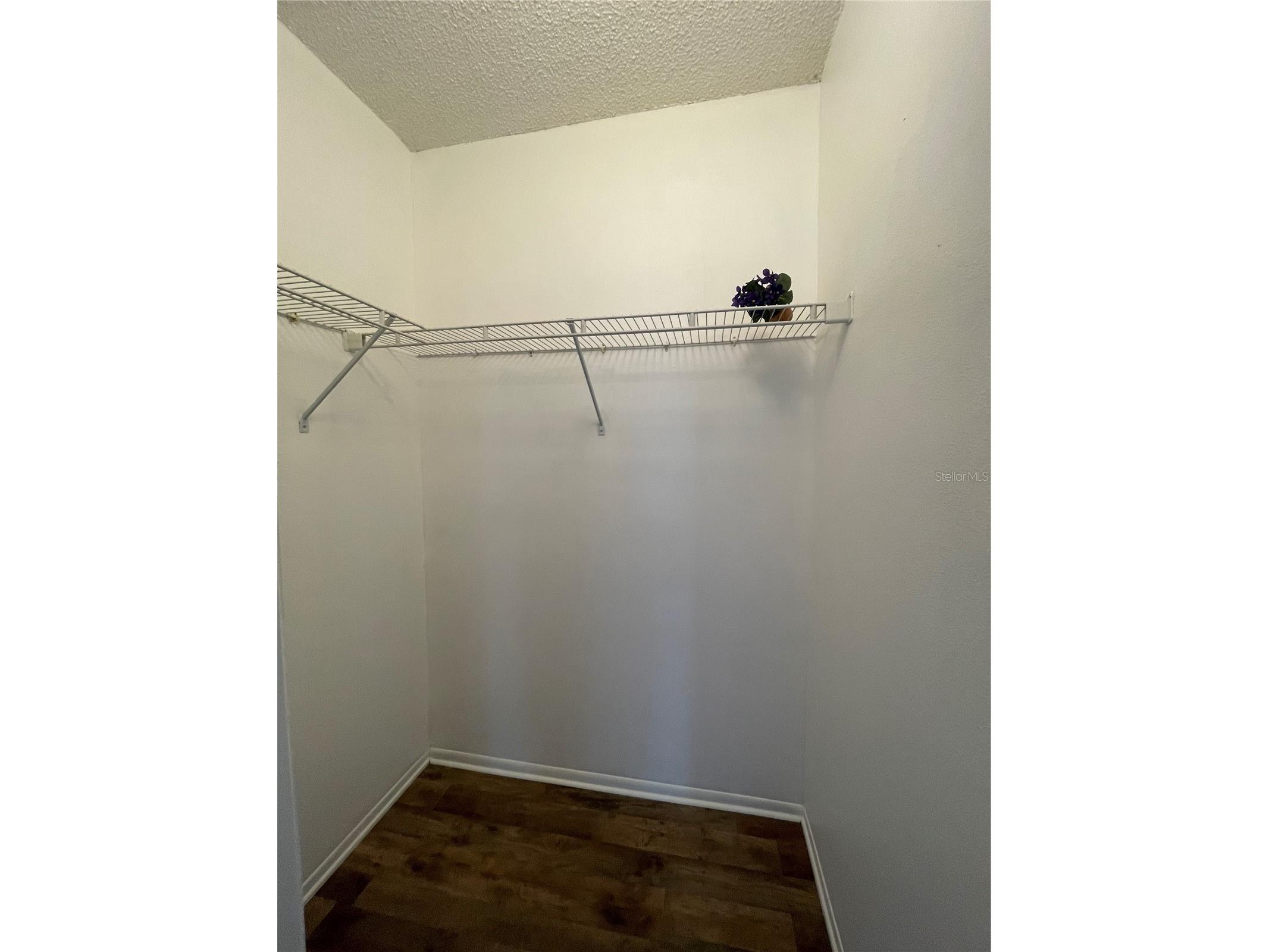 103 Palmetto Court #103 Oldsmar FL 34677 W7886064 image25