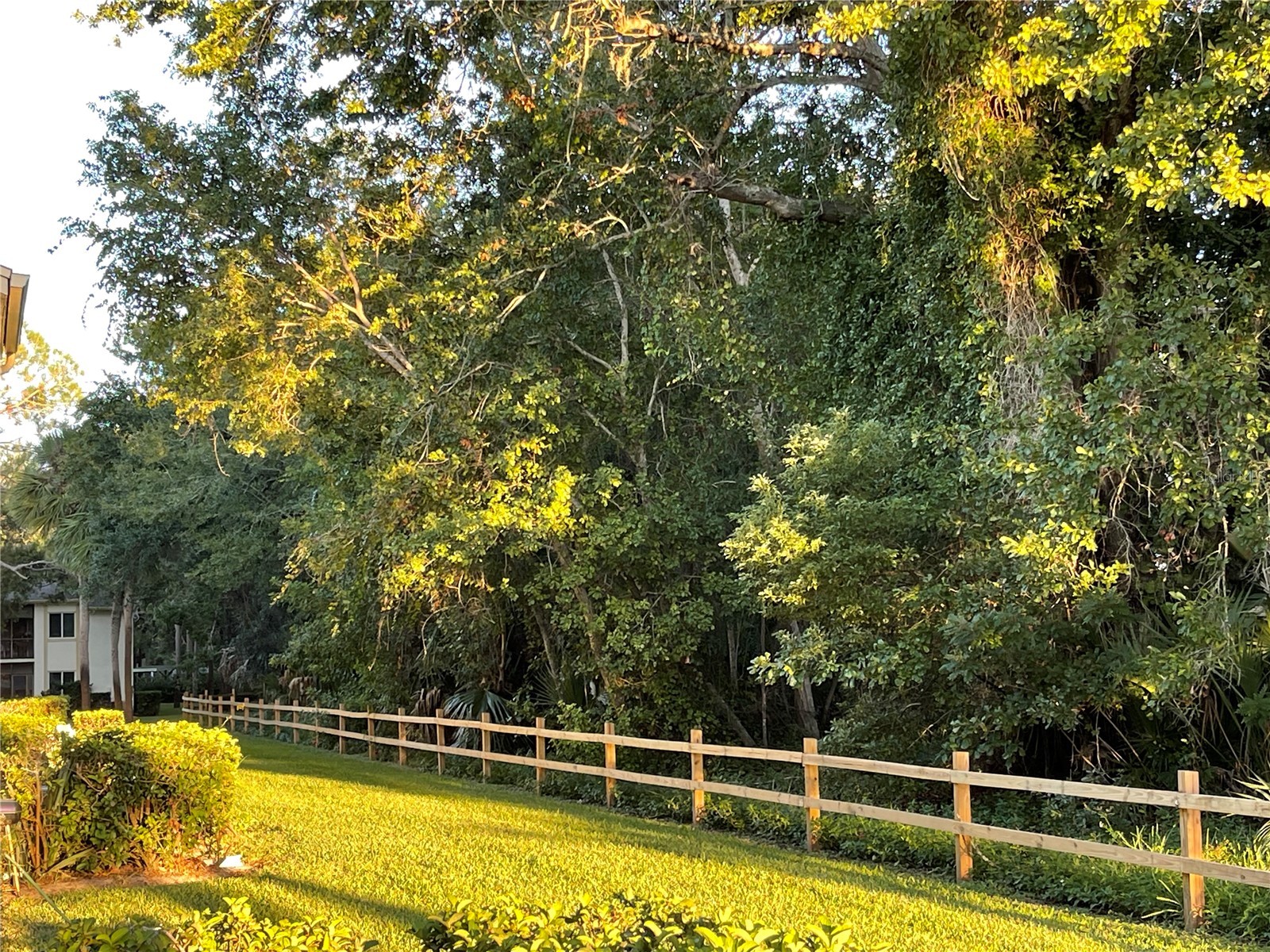 103 Palmetto Court #103 Oldsmar FL 34677 W7886064 image33