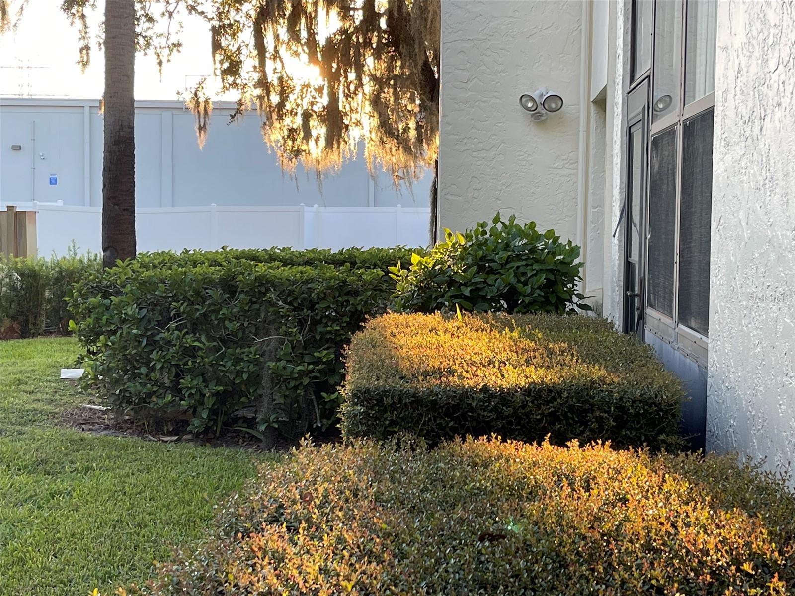 103 Palmetto Court #103 Oldsmar FL 34677 W7886064 image34