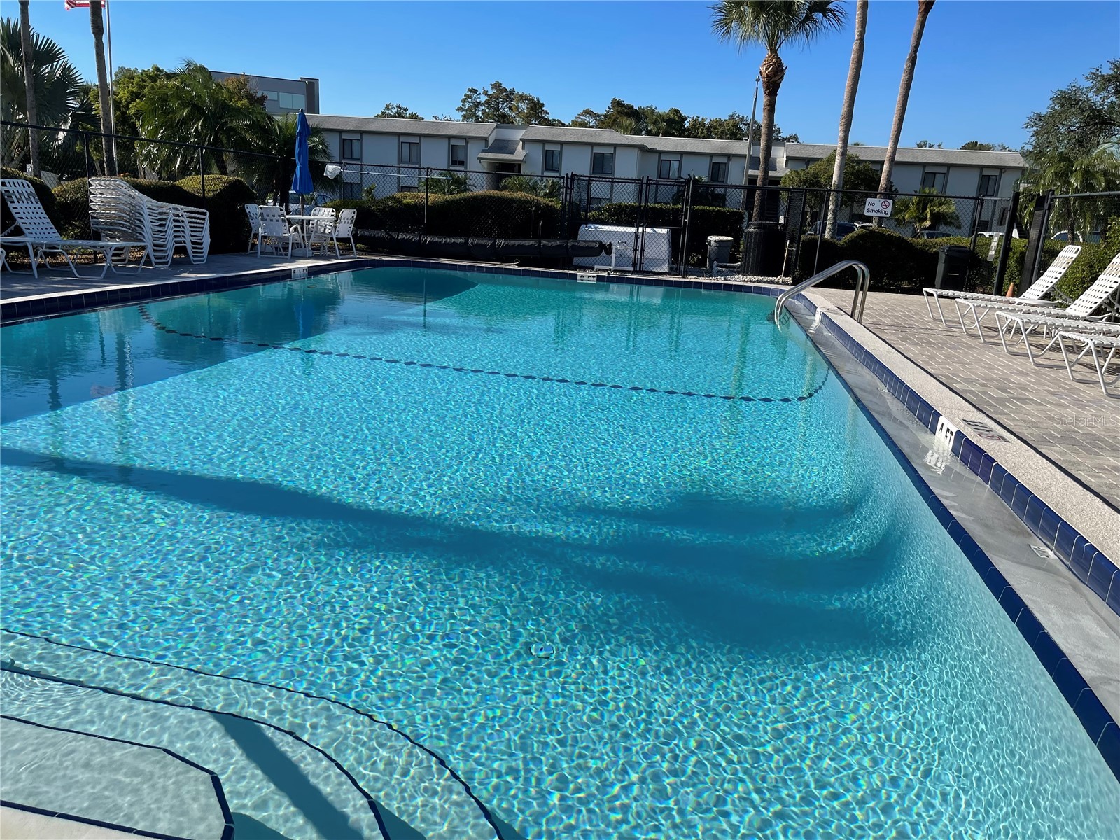 103 Palmetto Court #103 Oldsmar FL 34677 W7886064 image45