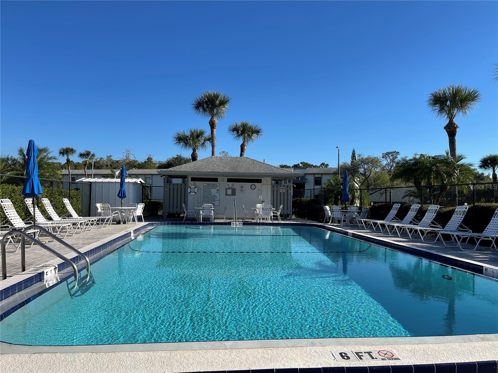 103 Palmetto Court #103 Oldsmar FL 34677 W7886064 image46