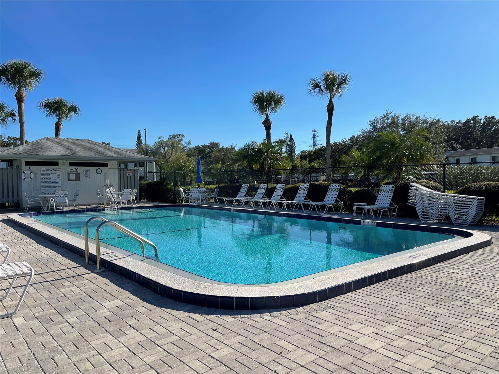 103 Palmetto Court #103 Oldsmar FL 34677 W7886064 image47