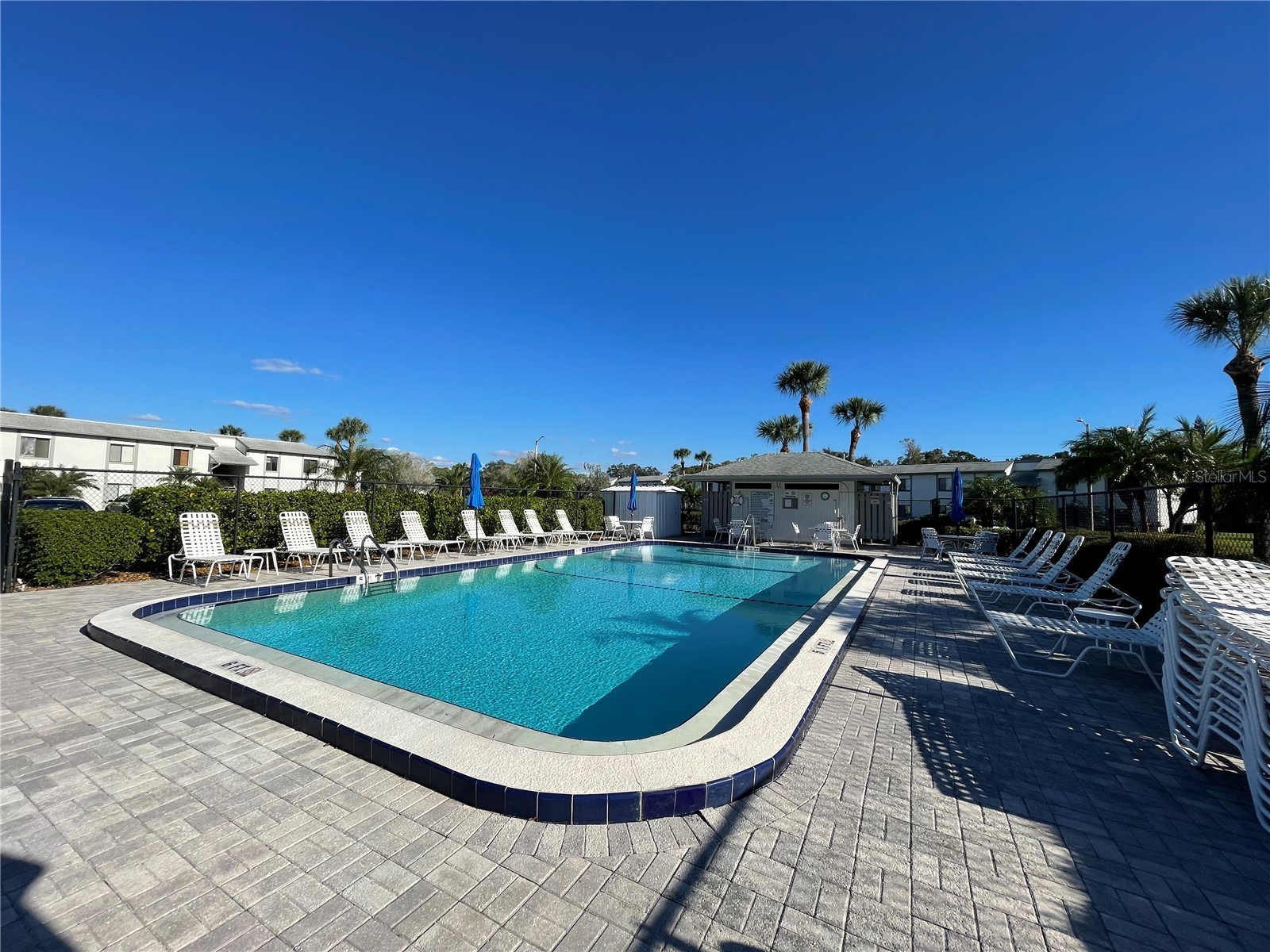 103 Palmetto Court #103 Oldsmar FL 34677 W7886064 image48
