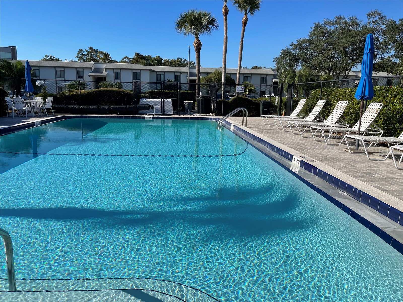 103 Palmetto Court #103 Oldsmar FL 34677 W7886064 image49