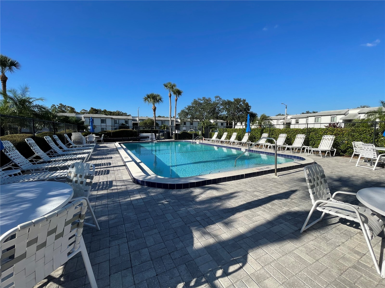 103 Palmetto Court #103 Oldsmar FL 34677 W7886064 image50