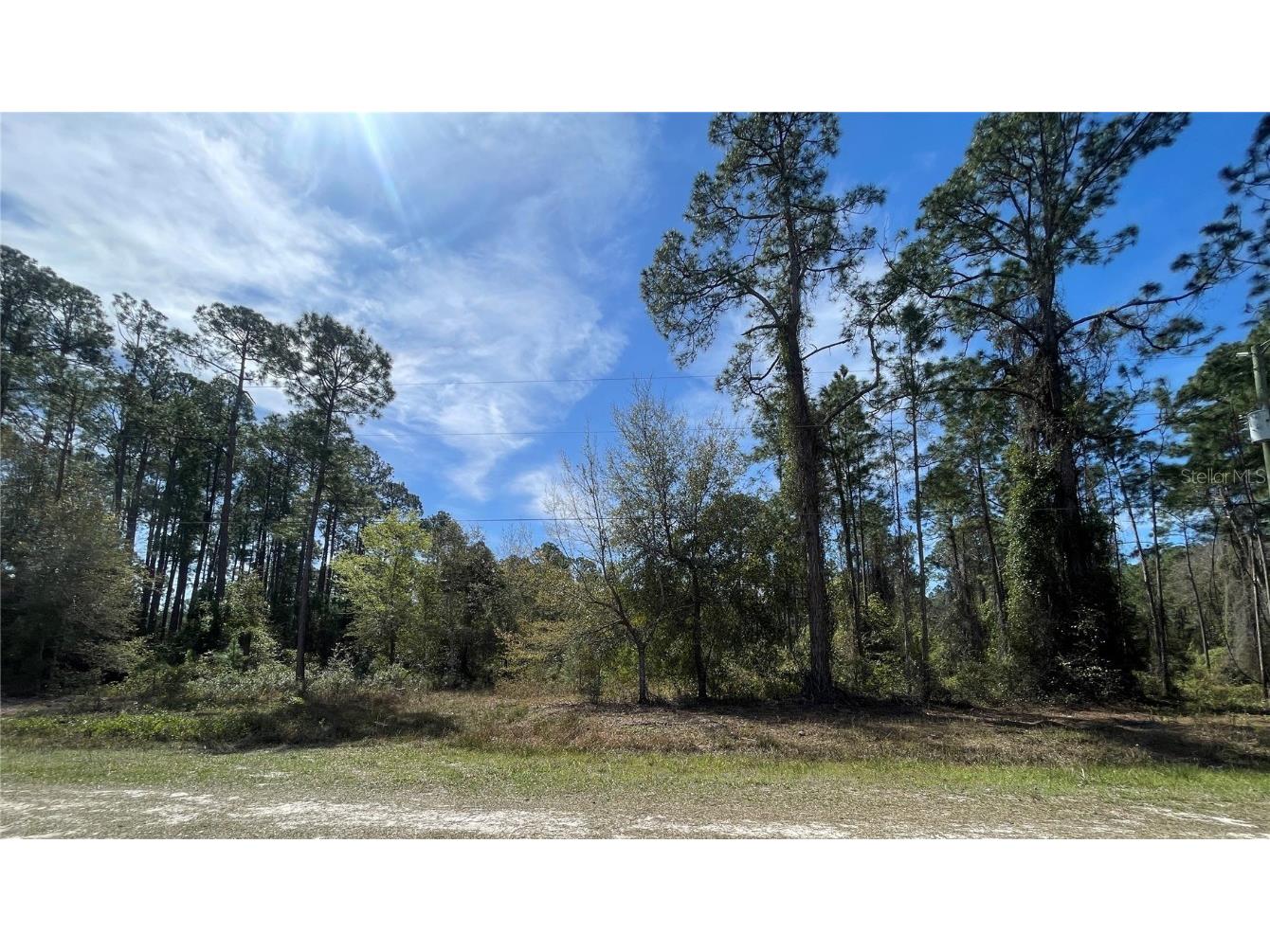 103 Rosewood Street Georgetown FL 32139 FC308355 image1