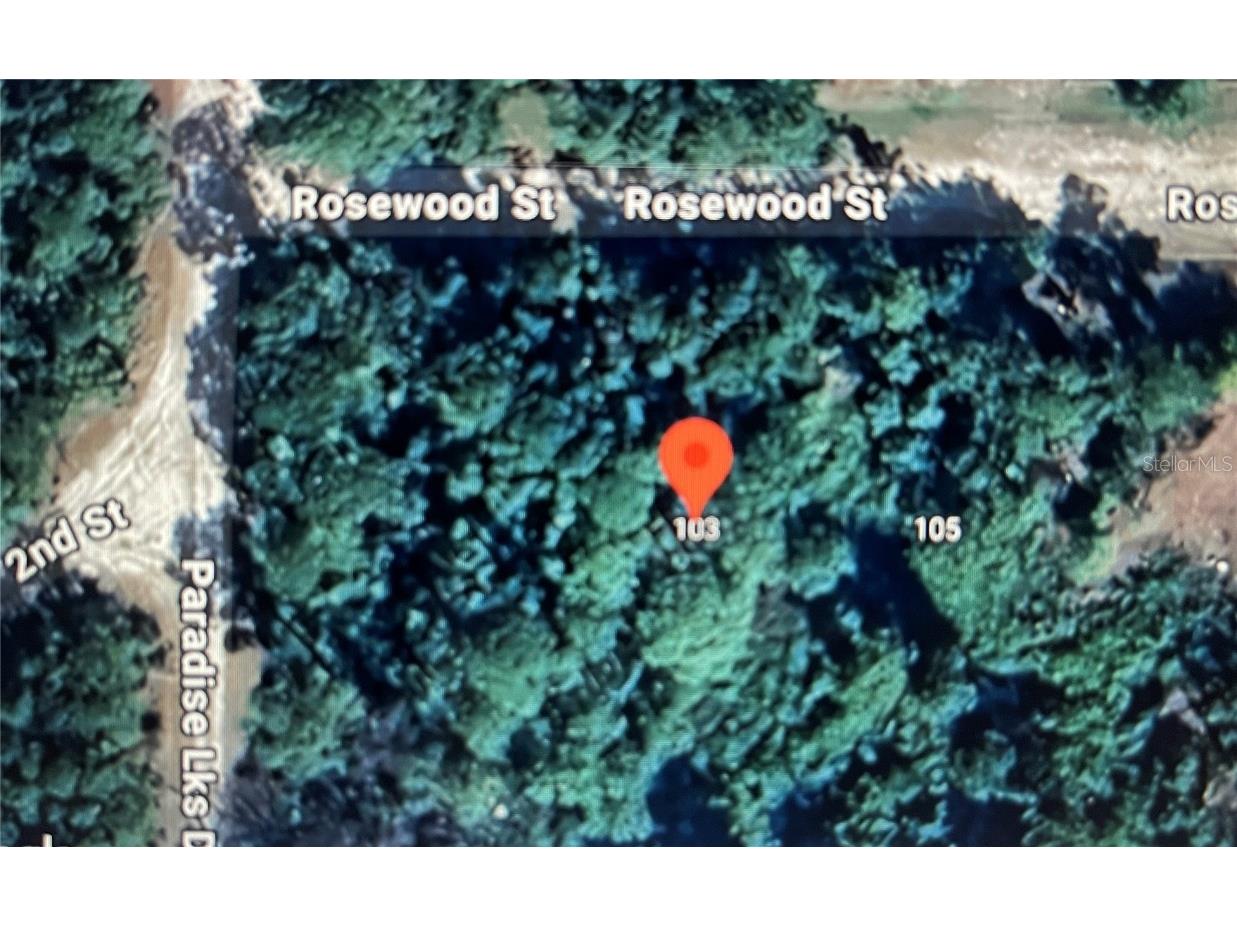 103 Rosewood Street Georgetown FL 32139 FC308355 image2