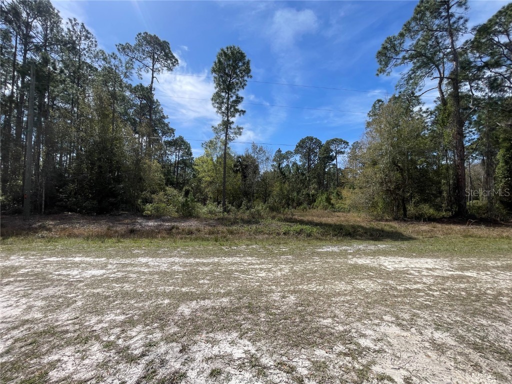 103 Rosewood Street Georgetown FL 32139 FC308355 image3