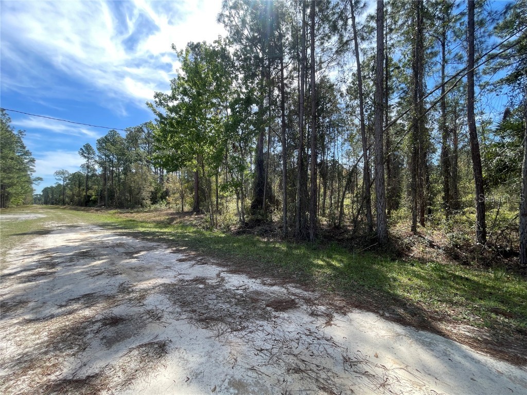 103 Rosewood Street Georgetown FL 32139 FC308355 image5