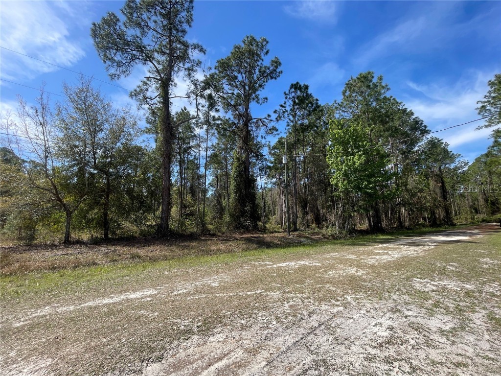 103 Rosewood Street Georgetown FL 32139 FC308355 image7