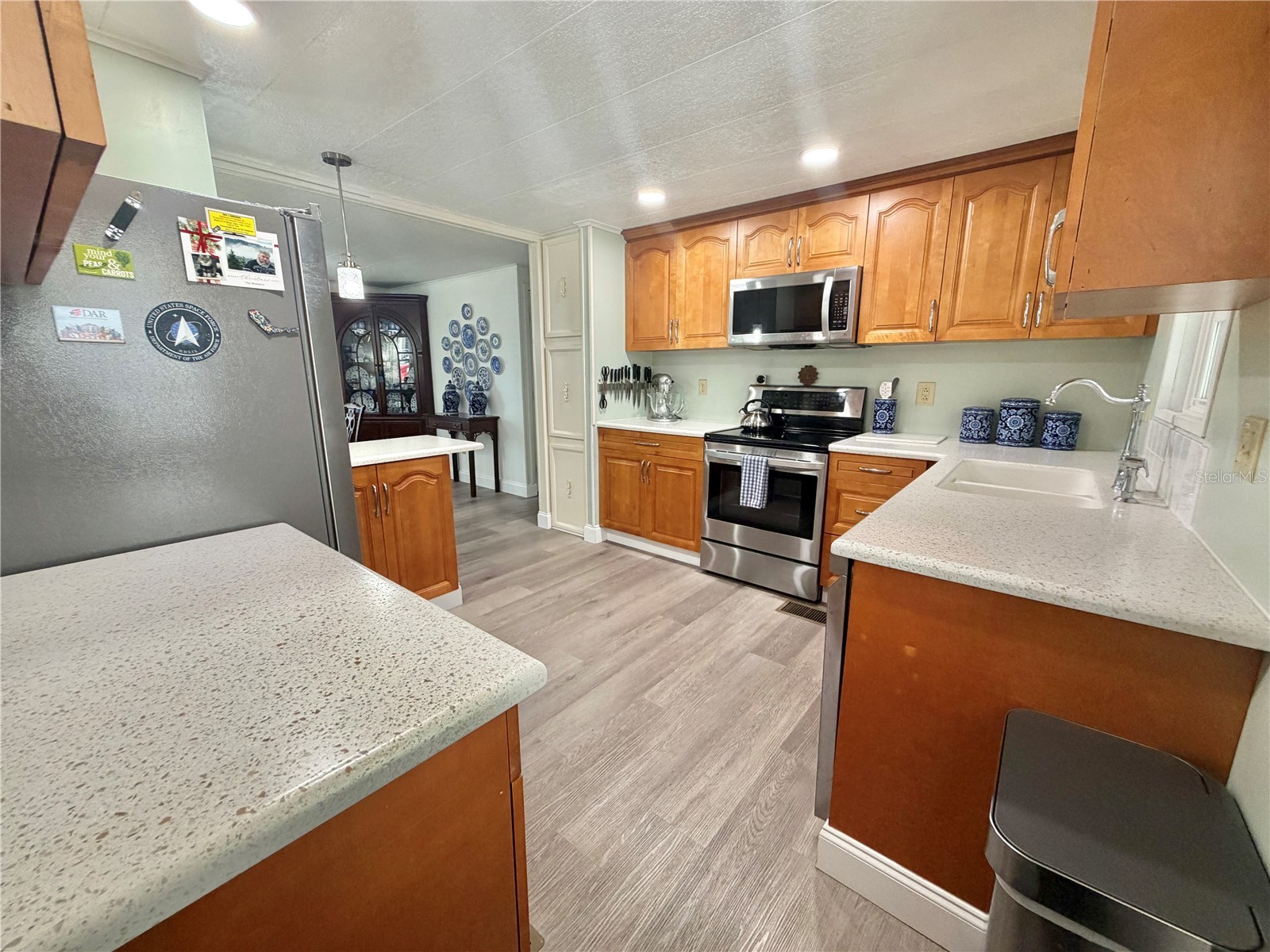 103 Royal Palm Drive Leesburg FL 34748 G5110684 image21