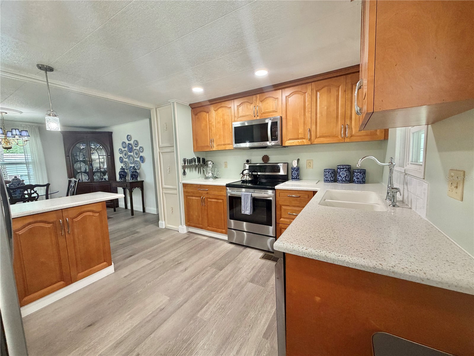 103 Royal Palm Drive Leesburg FL 34748 G5110684 image22