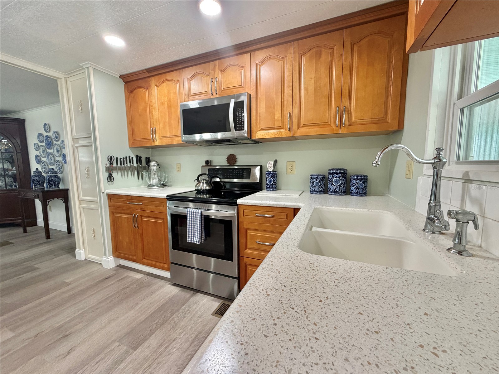 103 Royal Palm Drive Leesburg FL 34748 G5110684 image24