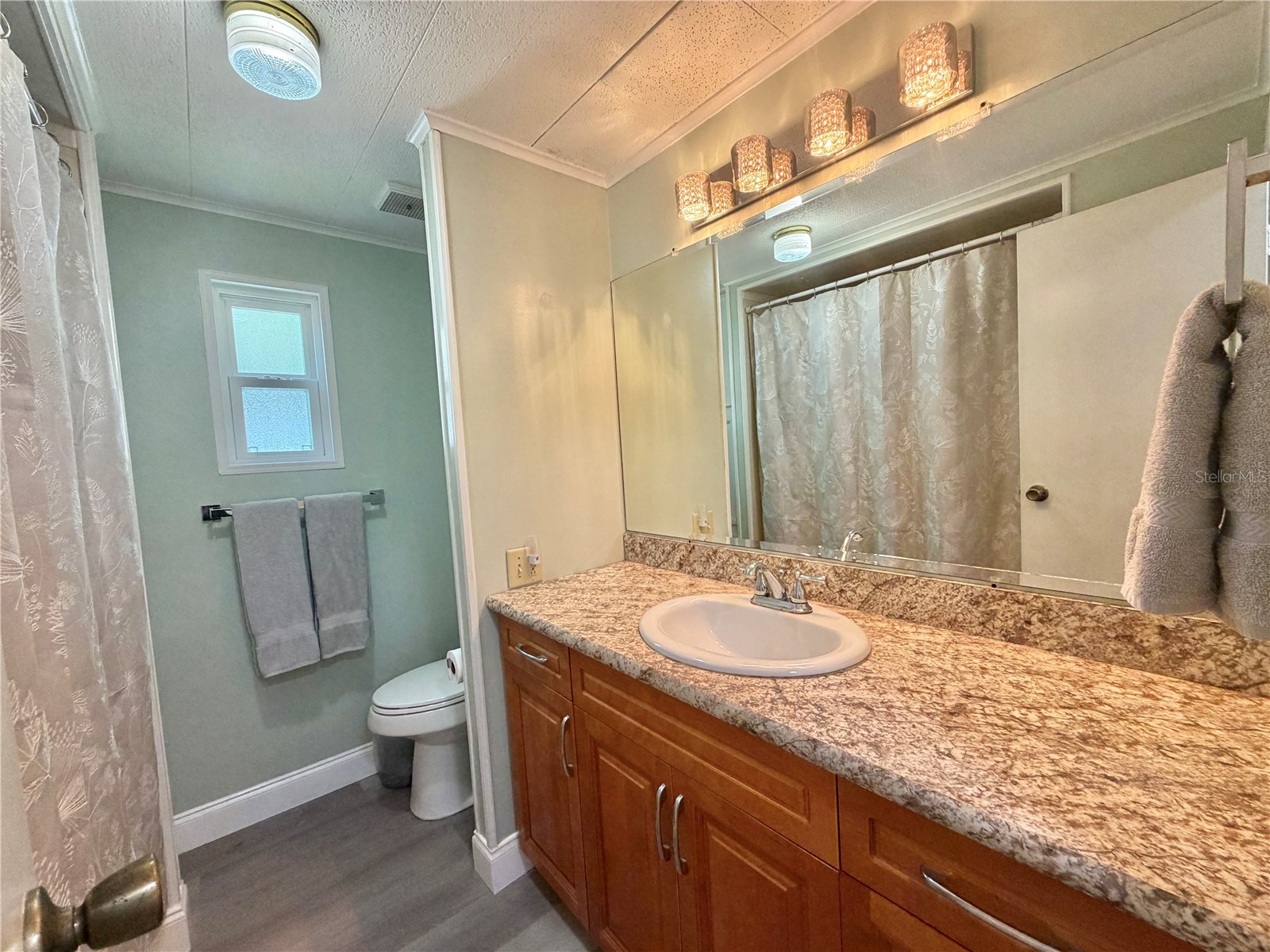 103 Royal Palm Drive Leesburg FL 34748 G5110684 image30