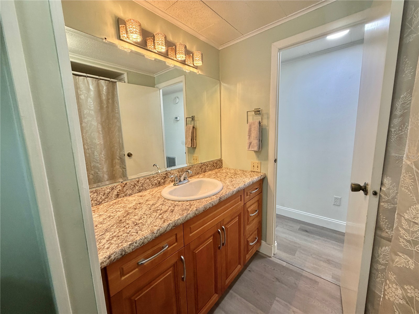 103 Royal Palm Drive Leesburg FL 34748 G5110684 image31