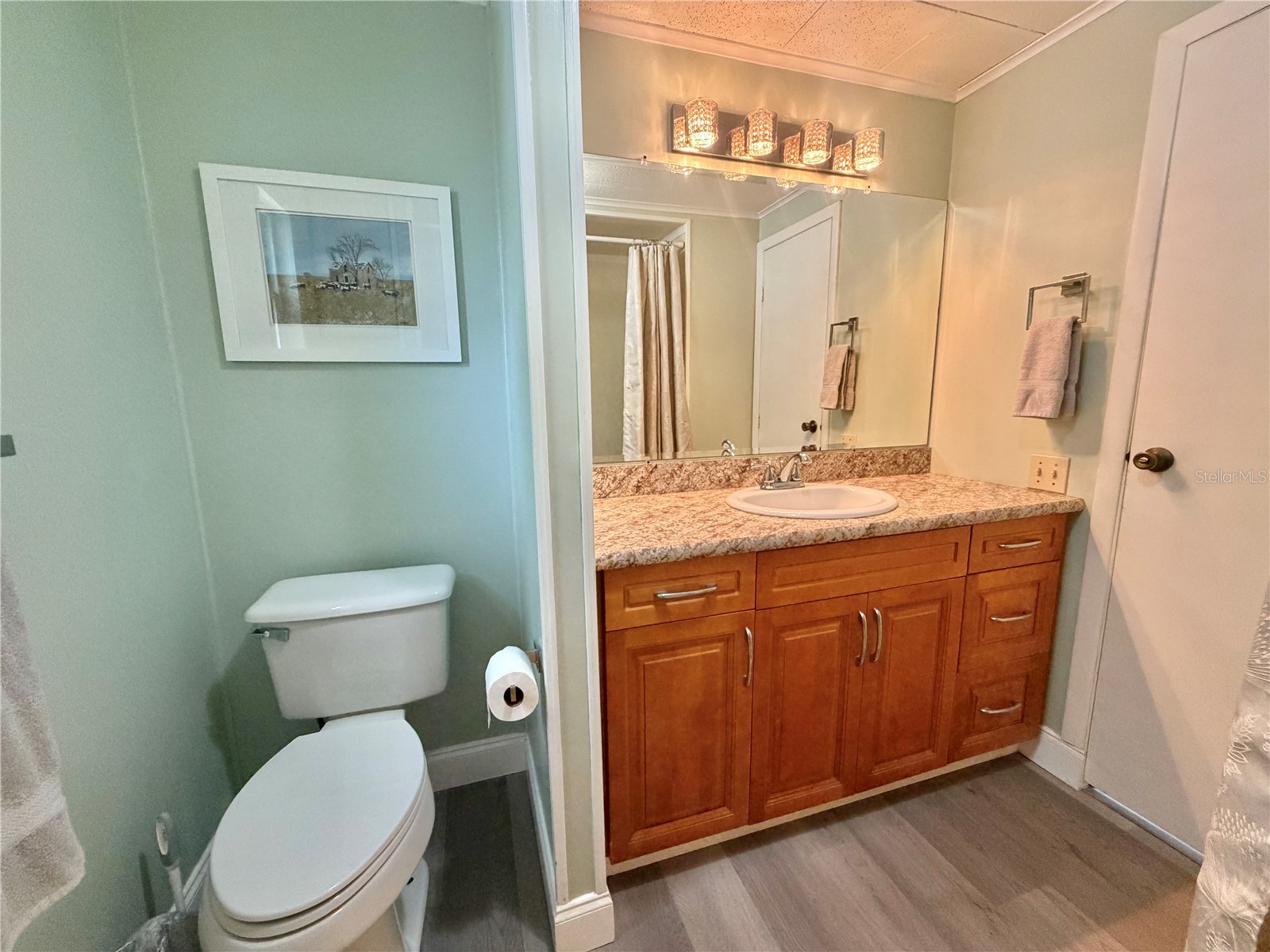 103 Royal Palm Drive Leesburg FL 34748 G5110684 image33