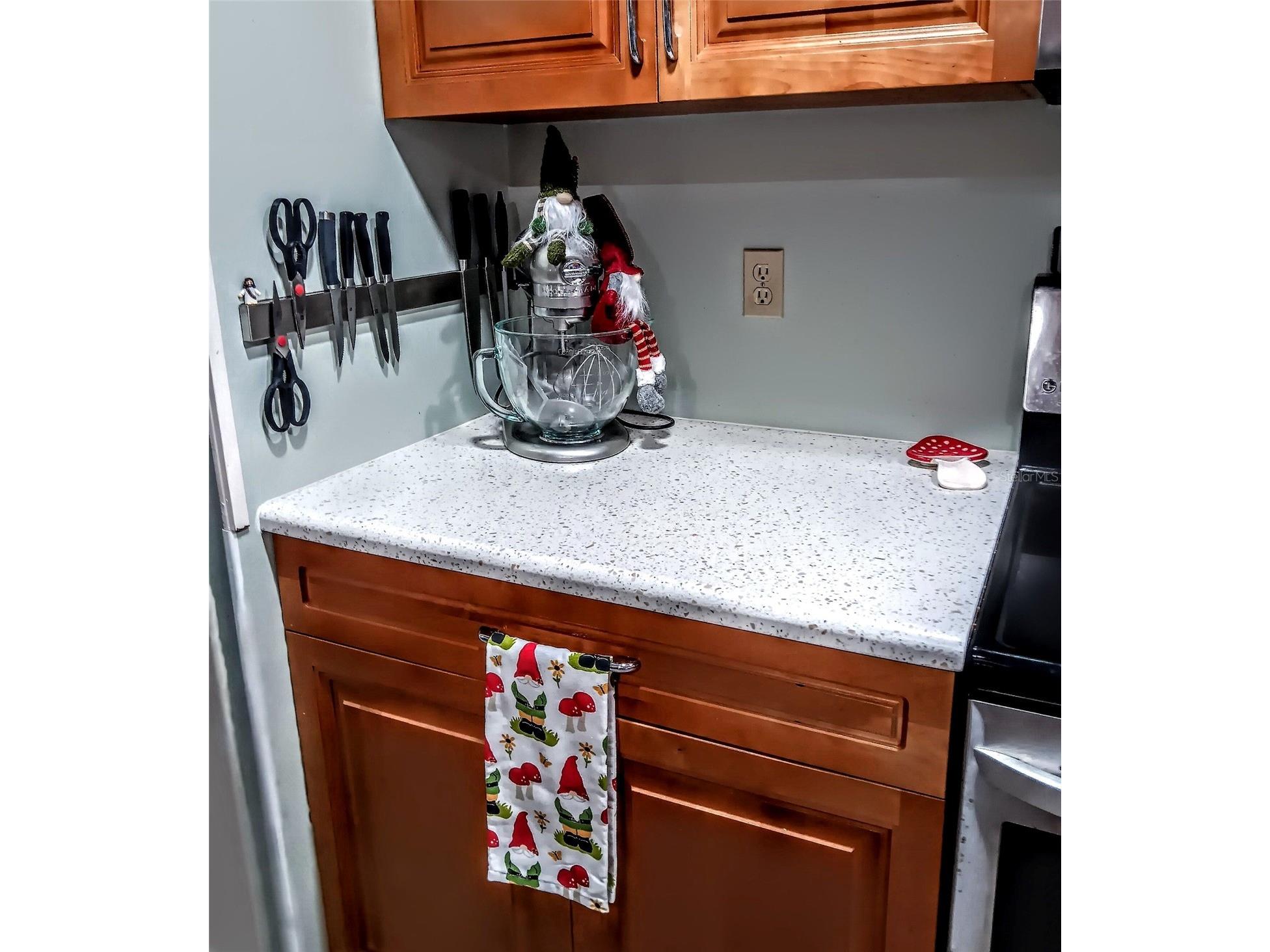 103 Royal Palm Drive Leesburg FL 34748 G5110684 image80