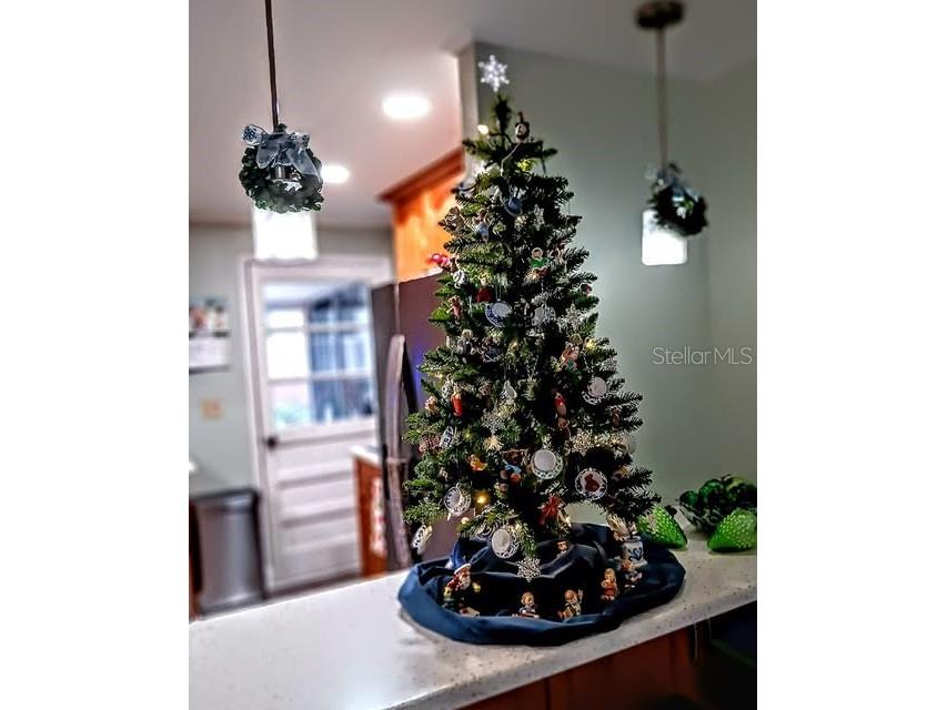 103 Royal Palm Drive Leesburg FL 34748 G5110684 image85