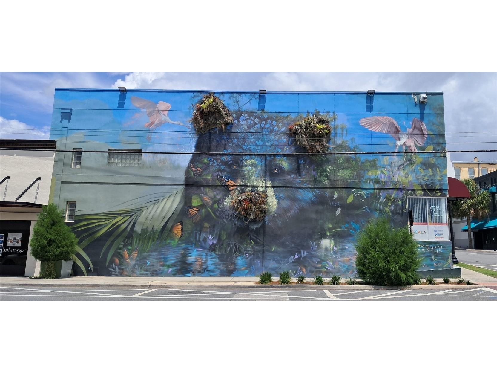 103 SE Tuscawilla Avenue Ocala FL 34471 P4935370 image80