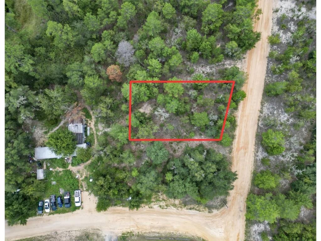 103 Spruce Court Interlachen FL 32148 OM684513 image1