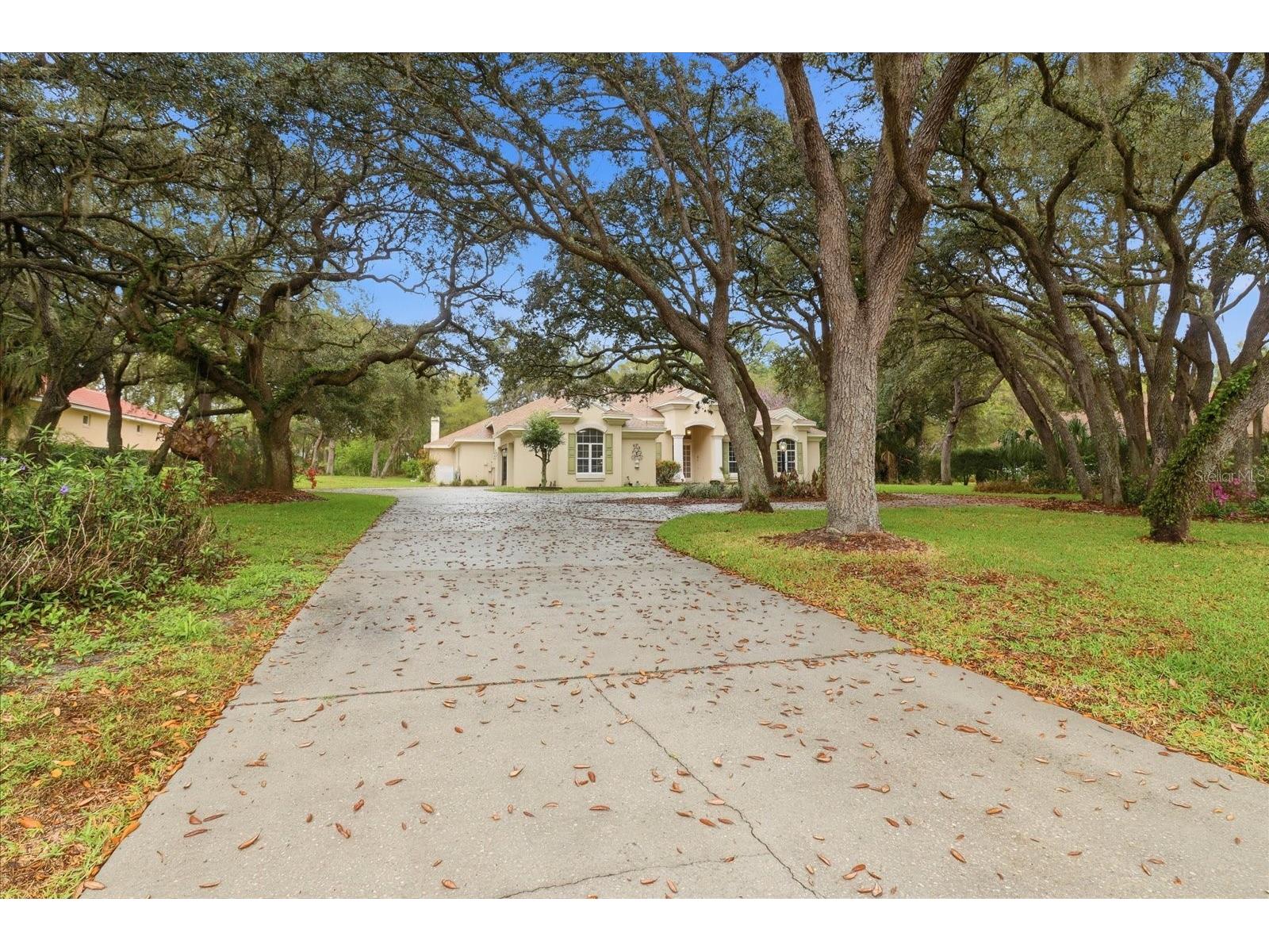 103 W Albany Lane Hernando FL 34442 TB8487045 image1