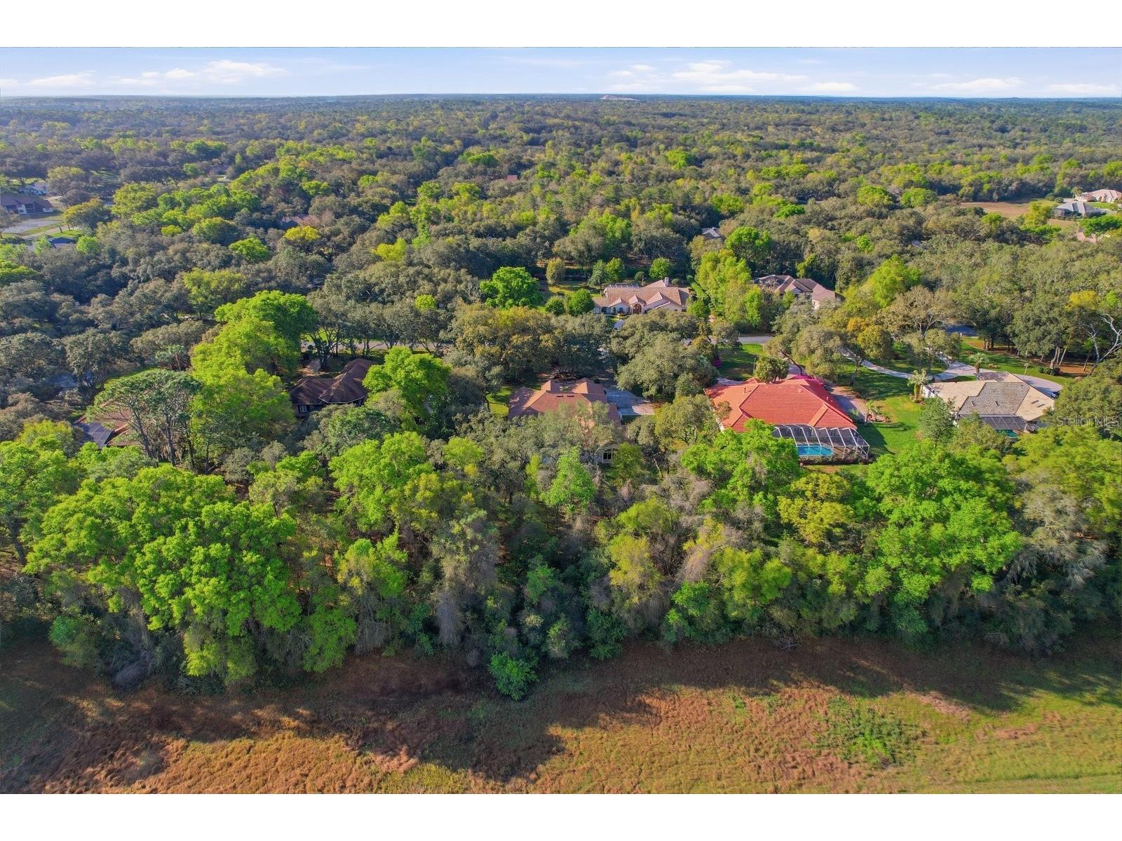 103 W Albany Lane Hernando FL 34442 TB8487045 image46