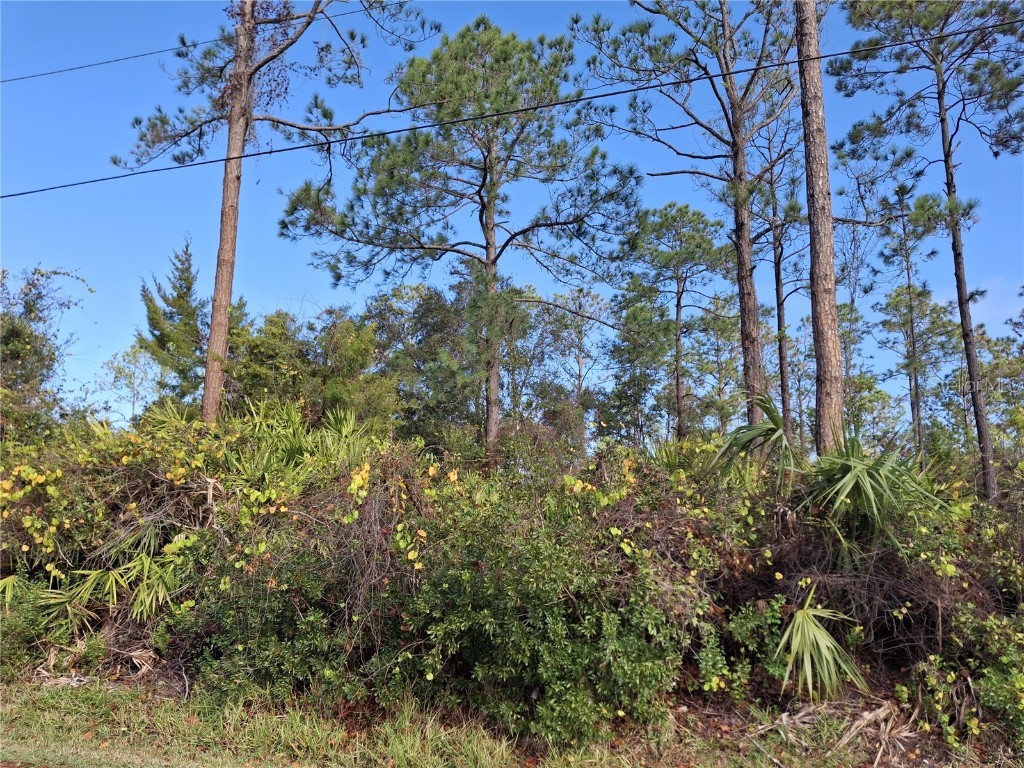 103 Wheatfield Drive Palm Coast FL 32164 FC305841 image2