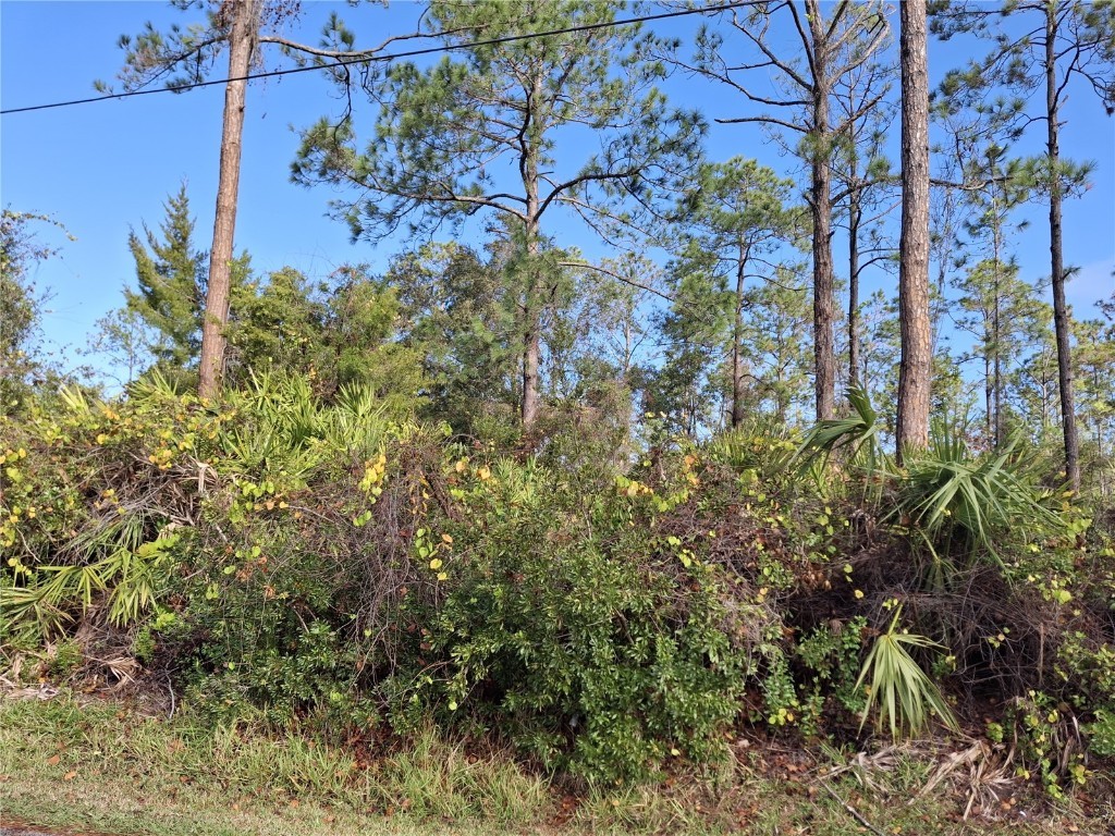 103 Wheatfield Drive Palm Coast FL 32164 FC305841 image3