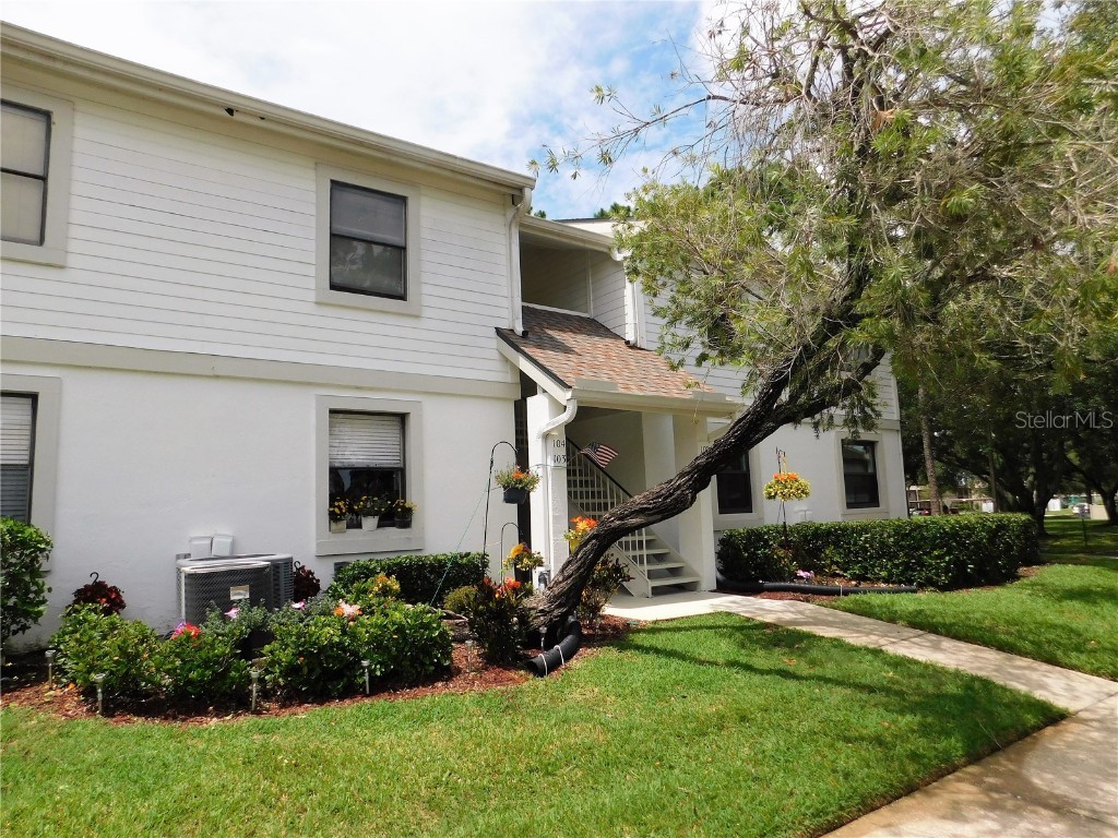 103 Windward Place Oldsmar FL 34677 U8211825 image1