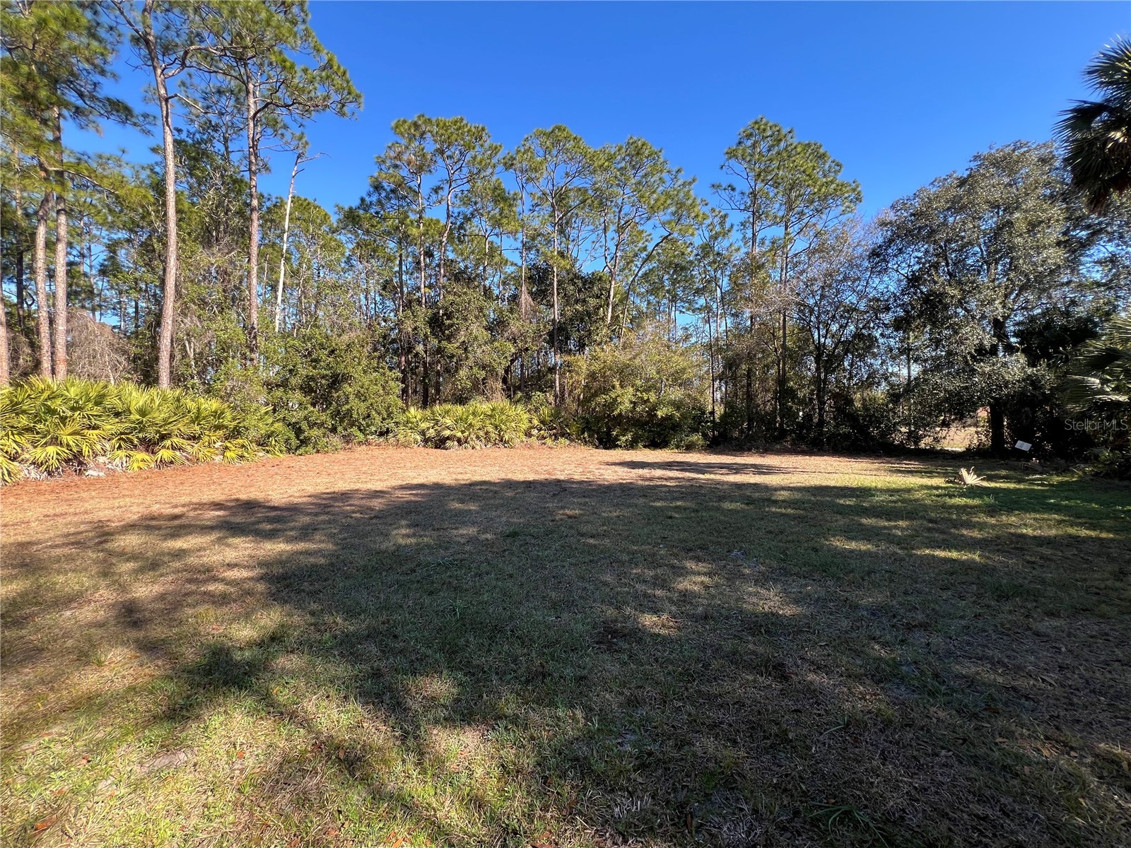 103 Woodside Drive Palm Coast FL 32164 FC315648 image47