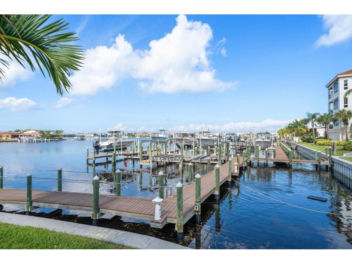 1030 Bellasol Way #201 Apollo Beach FL 33572 TB8383234 image33