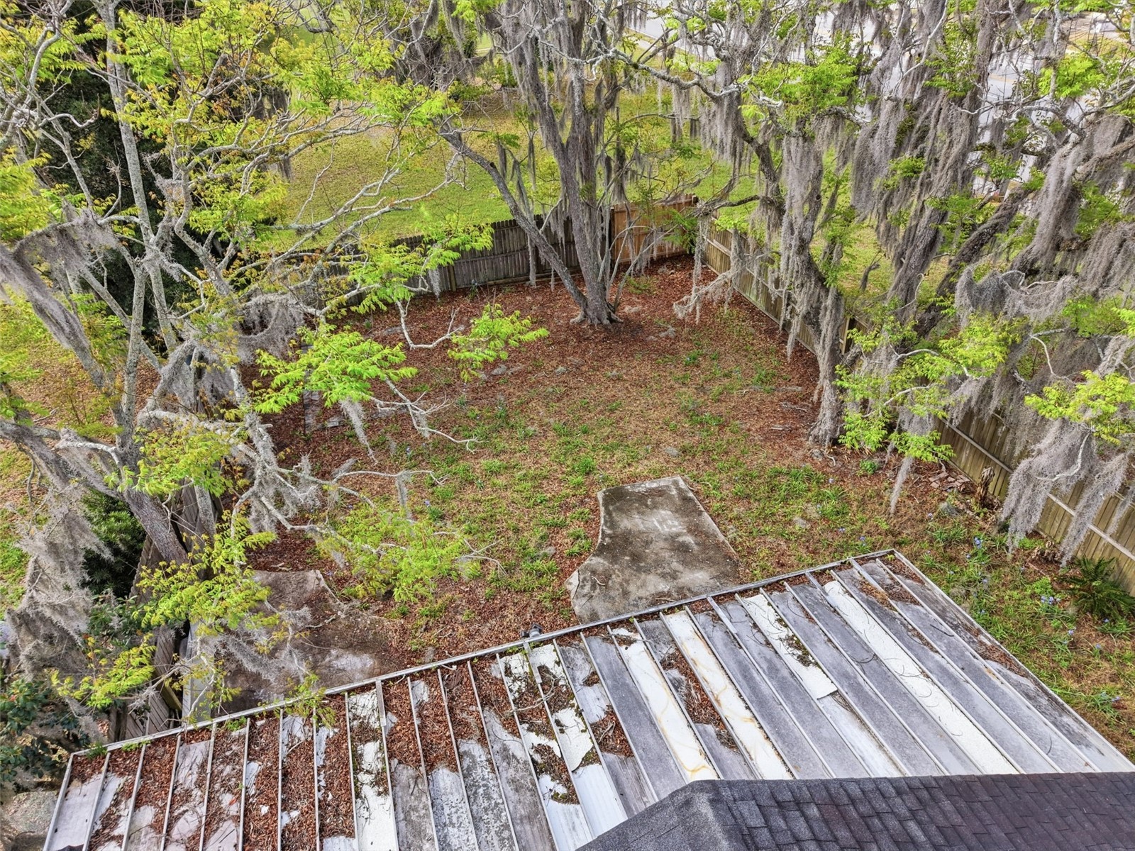 1030 Camphor Lane Deland FL 32720 V4948337 image31