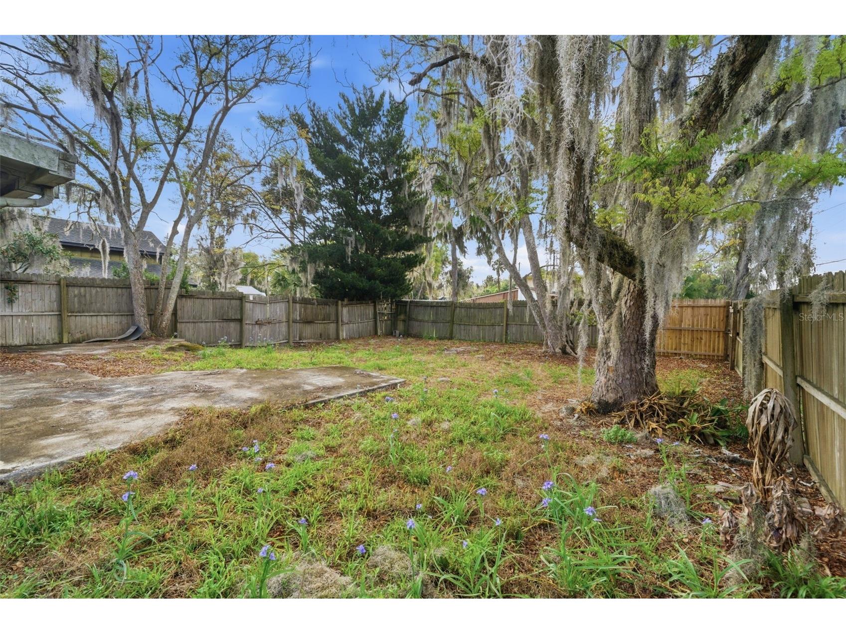 1030 Camphor Lane Deland FL 32720 V4948337 image35