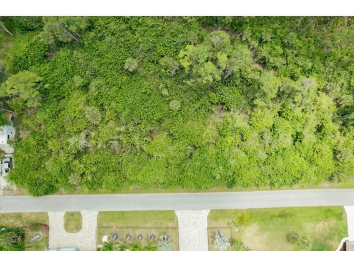 1030 Cheshire Street Port Charlotte FL 33953 C7518837 image2