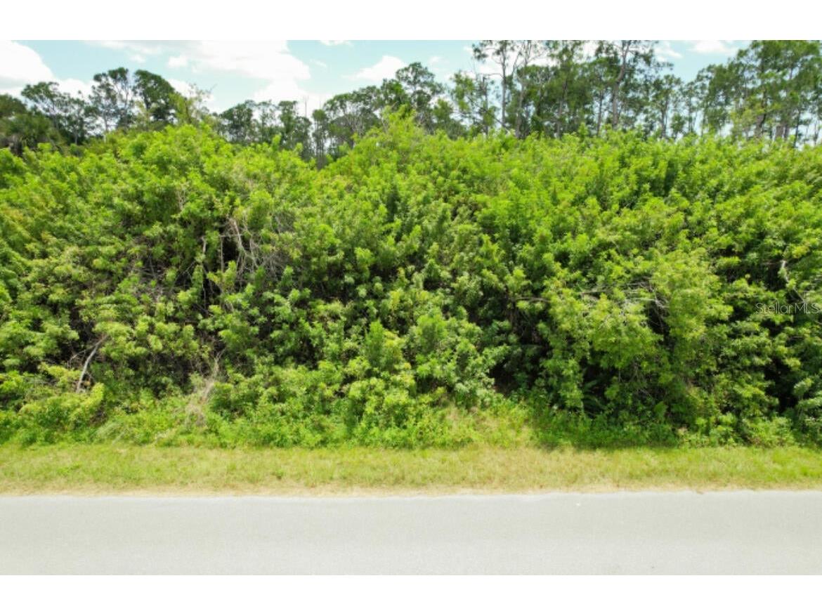 1030 Cheshire Street Port Charlotte FL 33953 C7518837 image3