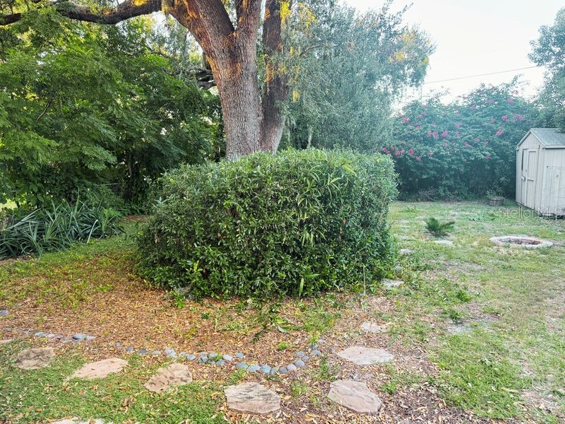 1030 E Walnut Street Lakeland FL 33801 OK225708 image11